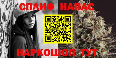 тгк Кинель