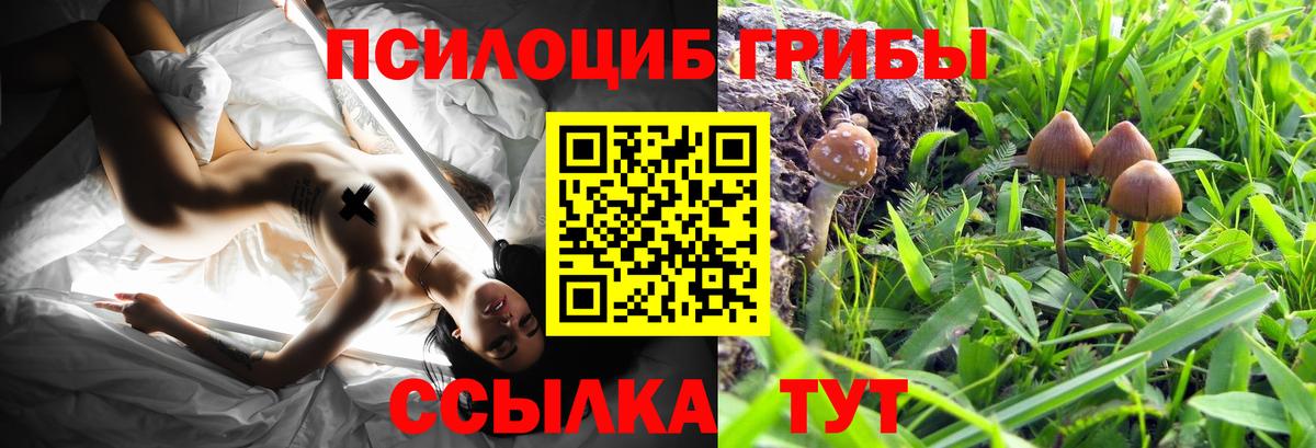 Галлюциногенные грибы GOLDEN TEACHER  Вход с VPN  Псилоцибиновые грибы мухоморы  Вологда 