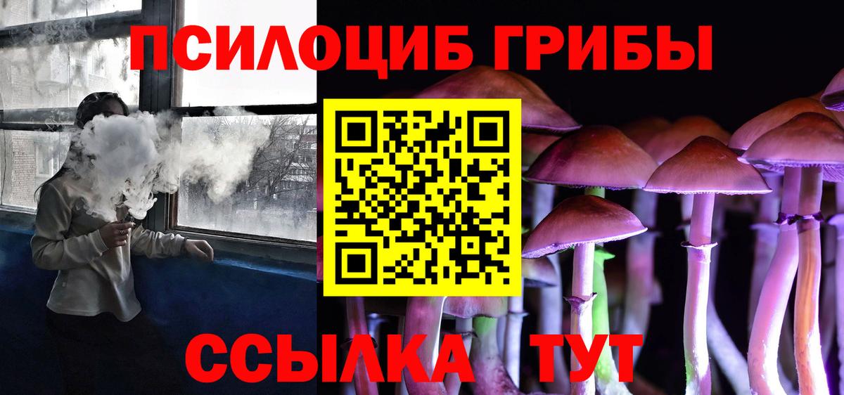 Галлюциногенные грибы Psilocybine cubensis Вологда